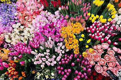 《真女神转生5》恶魔介绍：女性家灵希路奇